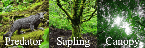 ai generated images of a predator, sapling and canopy in an Irish Atlantic Rainforest